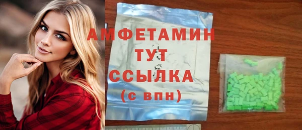 индика Чердынь