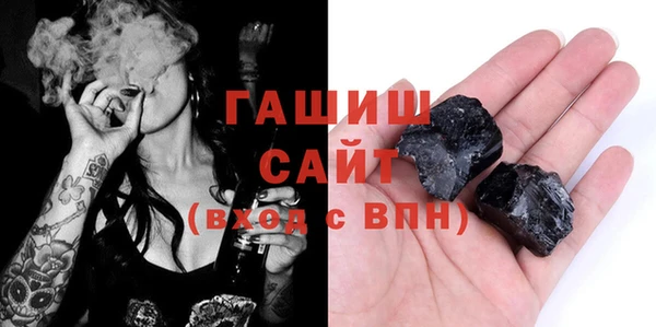 индика Чердынь