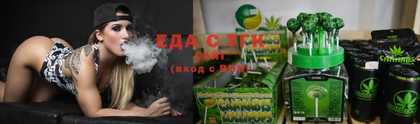 индика Чердынь