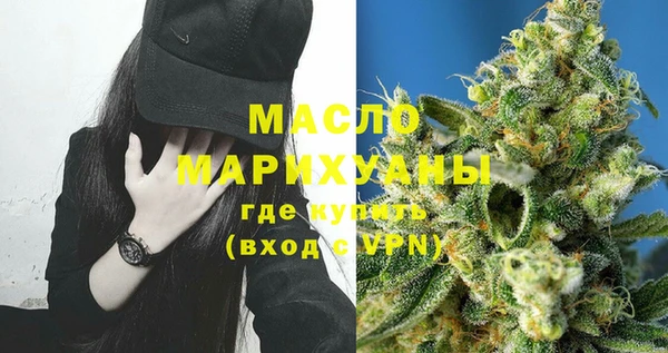индика Чердынь