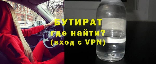 индика Чердынь