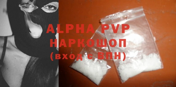 индика Чердынь