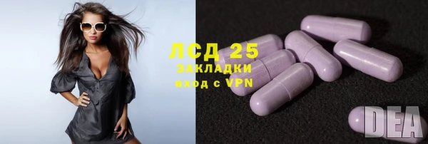 молекула духа Чекалин