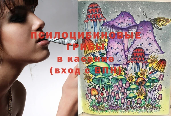 индика Чердынь