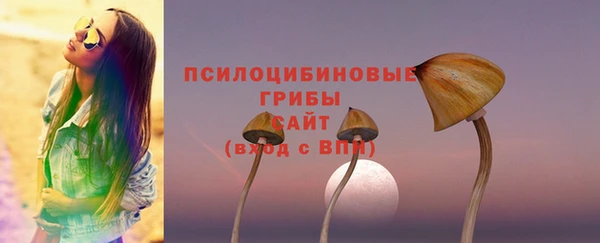 индика Чердынь