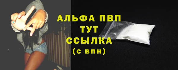 индика Чердынь