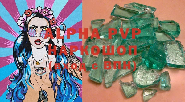 индика Чердынь