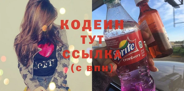 индика Чердынь