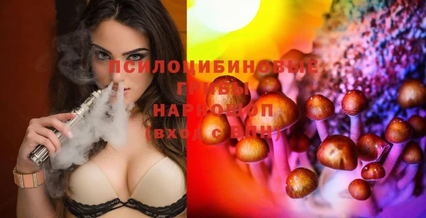 Альфа ПВП Чегем