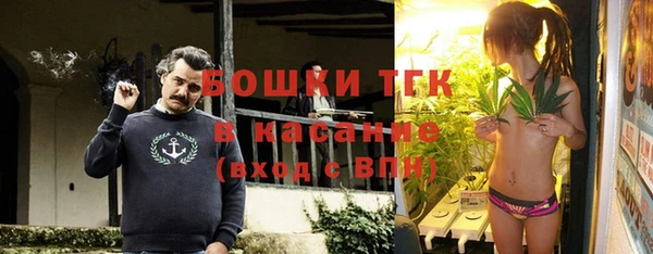 молекула духа Чекалин