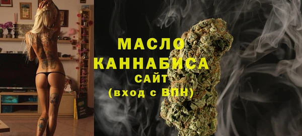 индика Чердынь