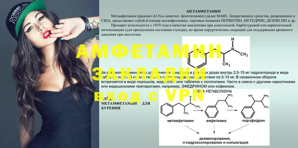 молекула духа Чекалин