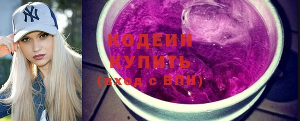 индика Чердынь