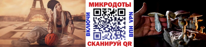 гидра онион  наркотики  Цоци-Юрт  Псилоцибиновые грибы мицелий 