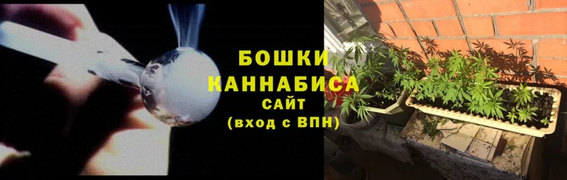 Бошки Шишки индика  купить наркотики цена  Цоци-Юрт 